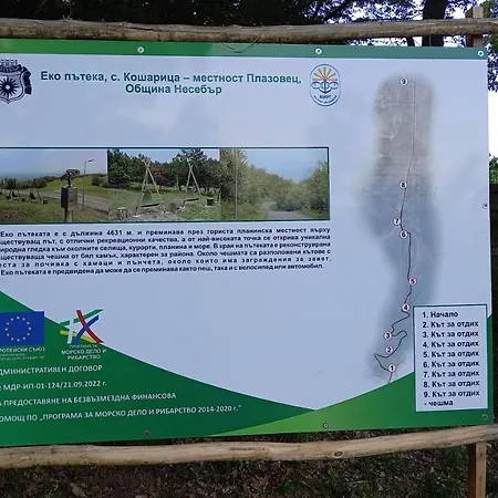 сансет кошарица: солнечный берег